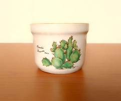 Flower pattern small porcelain flower pot caspo flawless cactus pattern succulent opuntia fig cactus