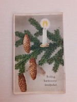 Old Christmas postcard postcard with pine branch cones