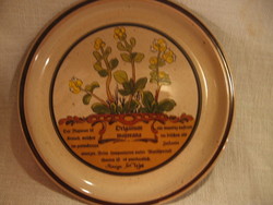 Gyűjtői botanikás fűszernövény majorannás Tejkl design tányér