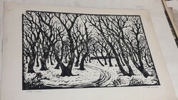 Réti Mátyás Linocut, Winter Forest