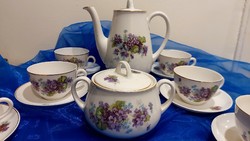 Thun Czechoslovakia porcelain tea set with violet pattern