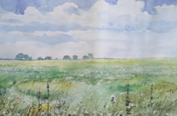 Flower field - landscape (with frame 42×32 cm) offset print made after watercolor