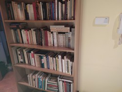 200 books for sale at a price of 100 ft / piece