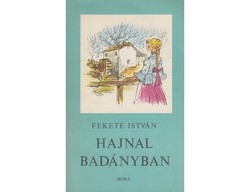 István Fekete dawn in badány bp., 1974. 312 Pages