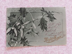 Régi képeslap 1915 levelezőlap fagyöngy