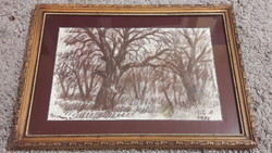 Mátyás Réti 1992 pencil drawing, forest, trees