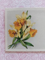 Old mini postcard floral postcard greeting card with daffodils