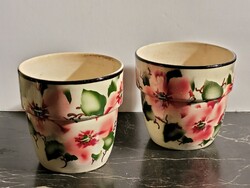 Pair of 2 Fischer Emil Kaspó flower vases with floral patterns