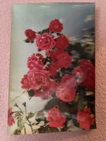 Rose postcard with hologram.