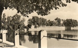 191 --- Futott képeslap, Tata - tópart