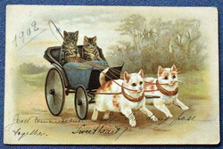 Antik grafikus üdvözlő litho képeslap cica fogat cica utasokkal