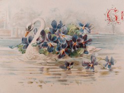 Old postcard postcard with swan violet