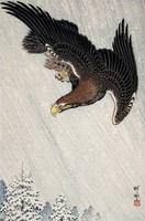 Ohara ram - eagle flying in the snow - reprint