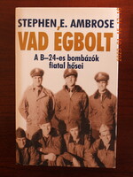 Stephen E. Ambrose - wild sky - young heroes of the b-24 bombers
