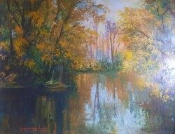 V. Barta Éva: Tükröződés (fák, vízpart, őszi táj), eredeti jelzett olaj- farost
