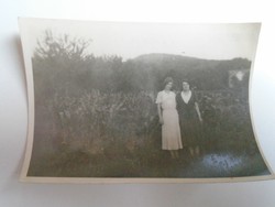 D193071  Régi fotó - Budakeszi  szanatórium Makay Irén és Margit  1933