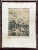 Birch grove from 1930. Lithography.