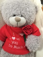 Gray, lovely big teddy bear with a rose