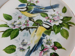Fenton angol madaras tányér - cinkék virágzó almafán