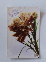 Régi virágos képeslap levelezőlap szegfű