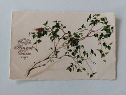 Old postcard 1924 postcard poplar beetles