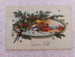 Old Christmas postcard postcard landscape plant pattern clover