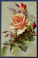 Antik Katharina Klein üdvözlő litho művész képeslap rózsaszín rózsa