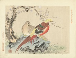 Imao keinen - golden pheasants - reprint