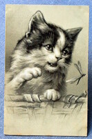 Antik dombornyomott grafikus üdvözlő litho képeslap cica  szitakötőt szeretne fogni