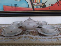 Haas&Czjzek Wildflower Coffee Set from the 1940s
