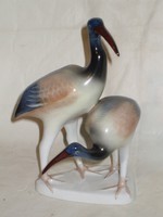 A pair of Ravenclaw ibis birds.
