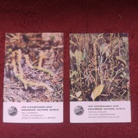 2 pieces from a series of Russian card calendars from 1982 - protected plants (together)