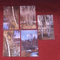5 pieces from a series of Russian card calendars from 1982 - forest (together)