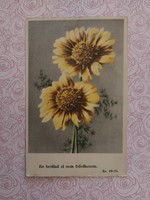 Old floral postcard postcard with daisies