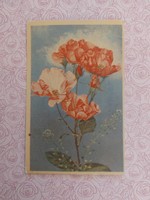 Old floral postcard postcard with wild roses