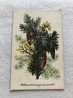 Old Christmas postcard, picture postcard - Józsefné Domján's drawing -3.