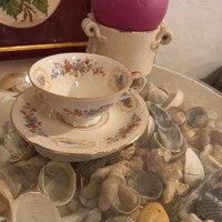 Álomszép finom porcelán BAVARIA  teás szett