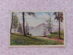 Old postcard 1950s art postcard landscape forest mountains