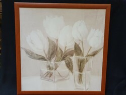 Fehér tulipánok - virágok képsorozat