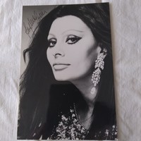 Sophia Loren dedikált fekete-fehér fotója