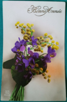 Antik színezett virágos üdvözlő képeslap, ibolyacsokor