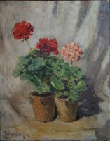 Alexander Turmayer (1879-1953) is a geranium