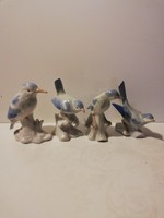 German porcelain birds