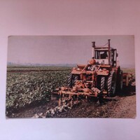 Mezőgazdasági Ellátó Tröszt kártyanaptár 1979