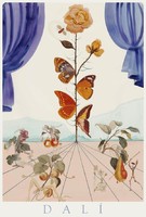 Salvador Dalí Flordali II. A pillangórózsa, művészeti plakát, szürrealista virág lepke természet