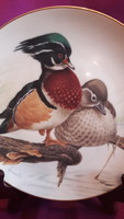 Karolinai récés, madaras porcelán tányér, kacsás falitányér (L3385)