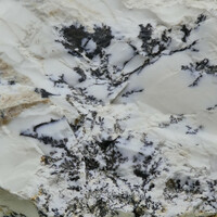 Mineral antiquity: todorokite dendrites grown in tejopale. 291 grams