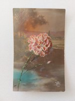 Old floral postcard postcard with carnations