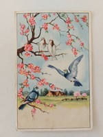 Old postcard postcard spring landscape with pigeons