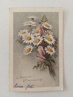 Old floral postcard postcard with wildflowers
